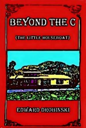Beyond the C